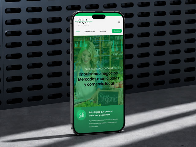 Baillyweb - Diseño web en Barcelona