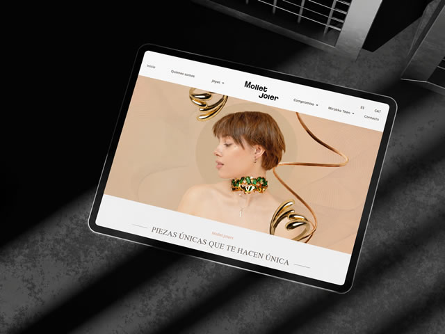 Baillyweb - Diseño web en Barcelona